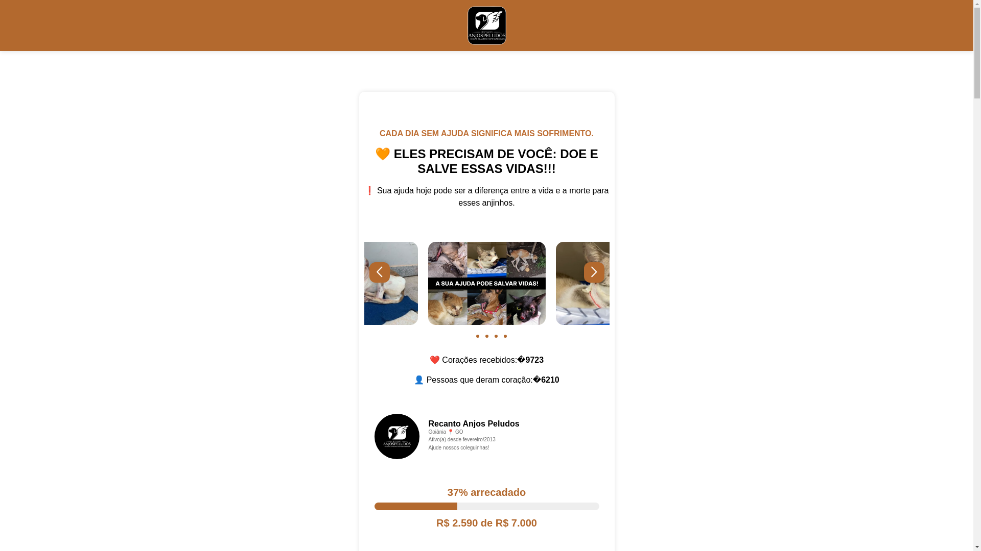 website screenshot of https://projetoajudaanimal.org/
