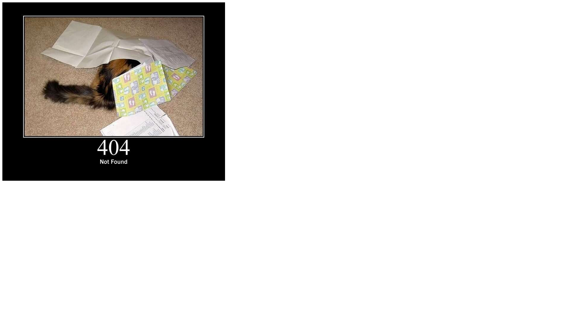 website screenshot of https://confirmationid-941249.com/