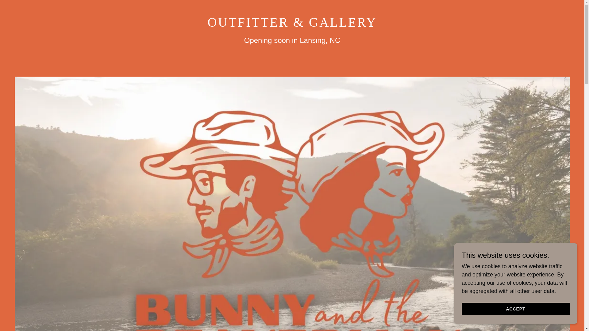 website screenshot of https://bunnyandthebeaverman.com/