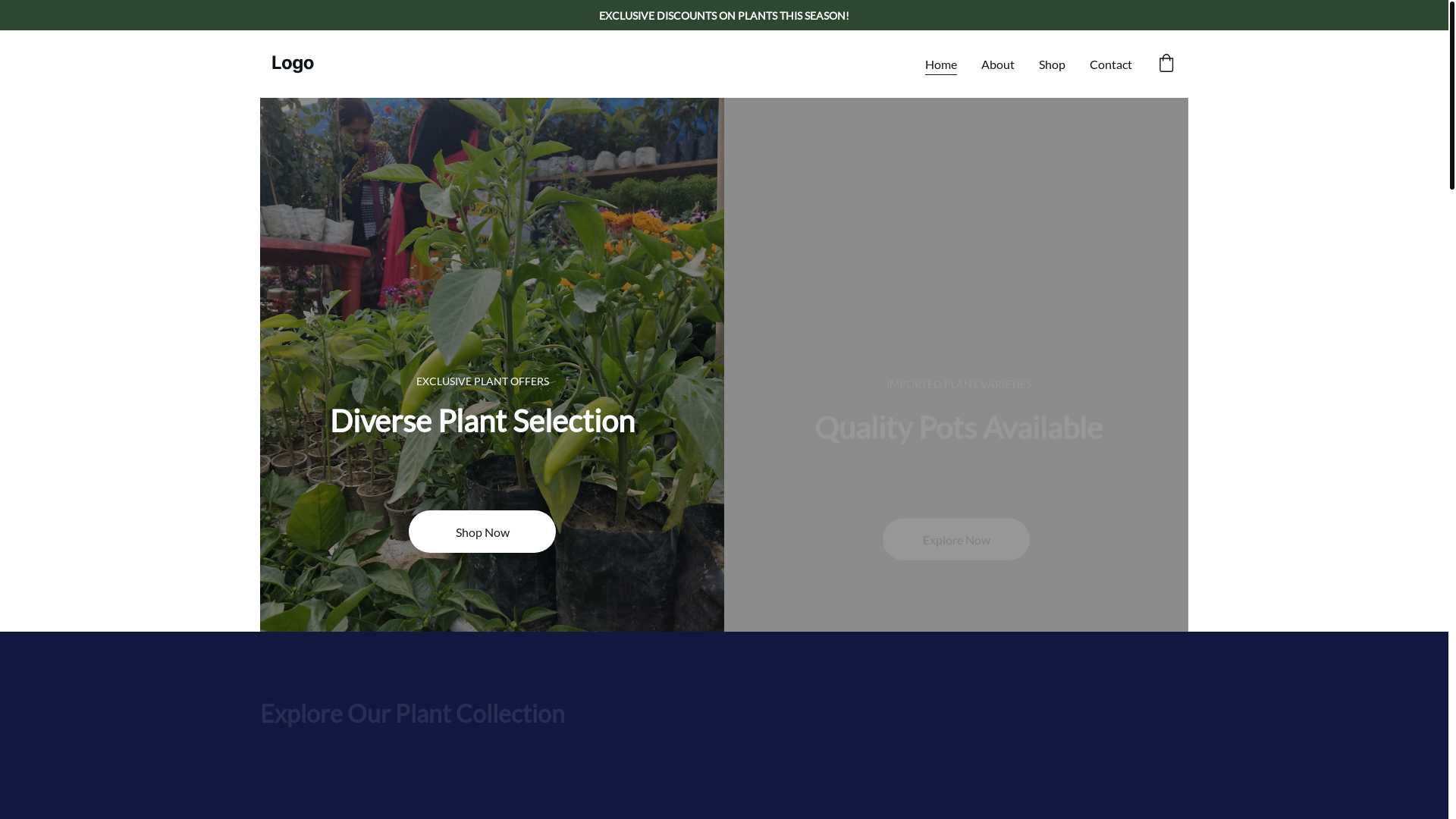 website screenshot of https://satyanarayananursery.online/