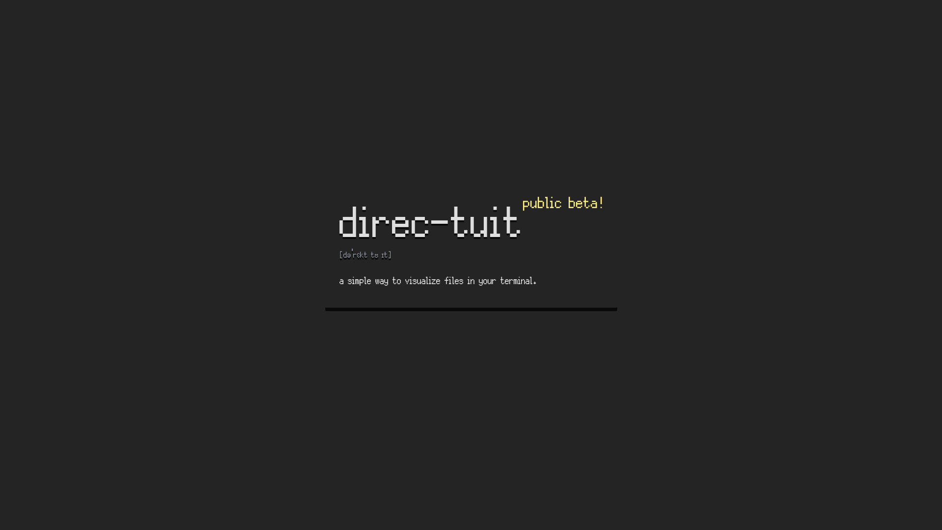 website screenshot of https://direc-tuit.com/