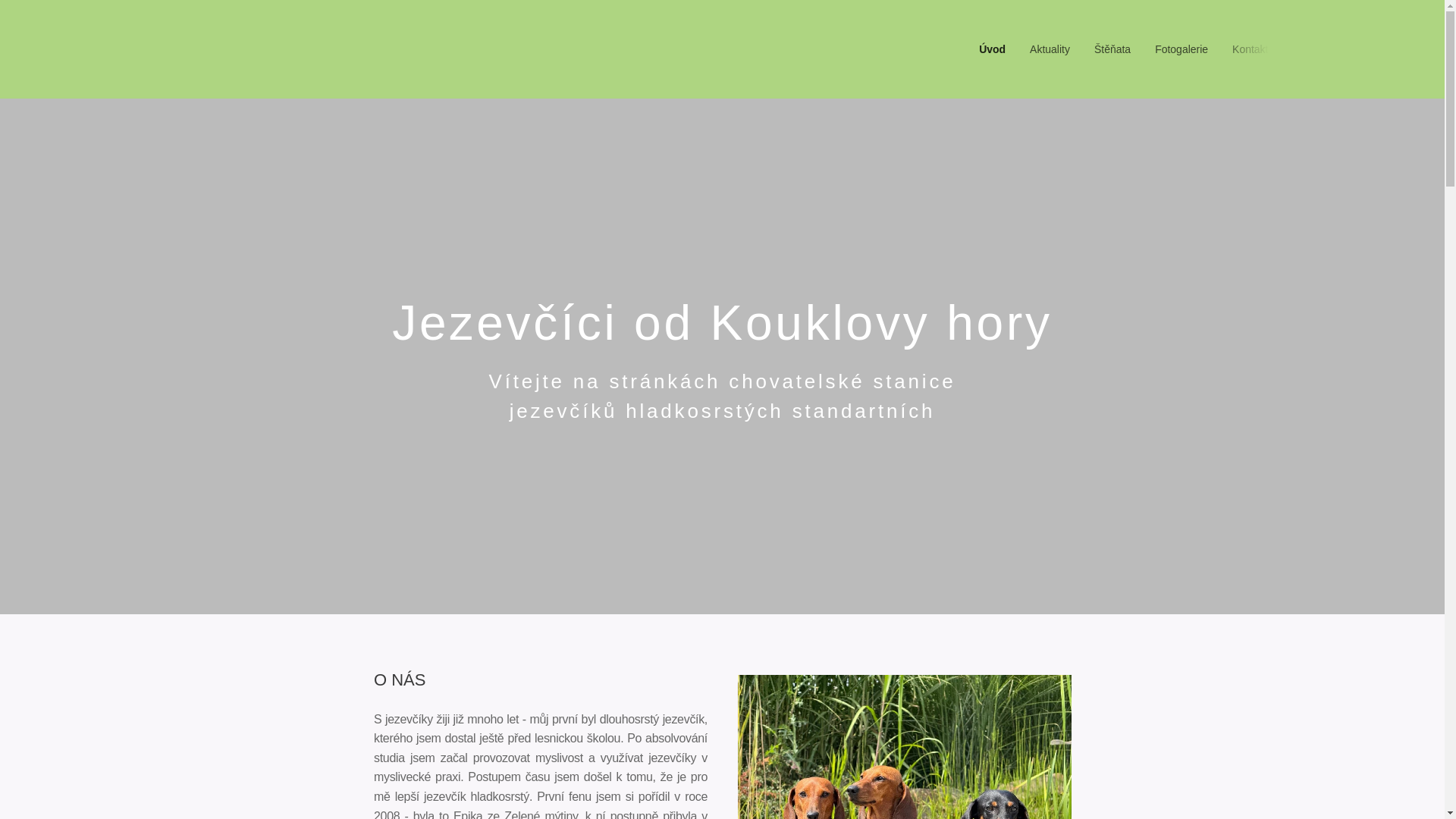 website screenshot of https://jezevciciodkouklovyhory.cz/
