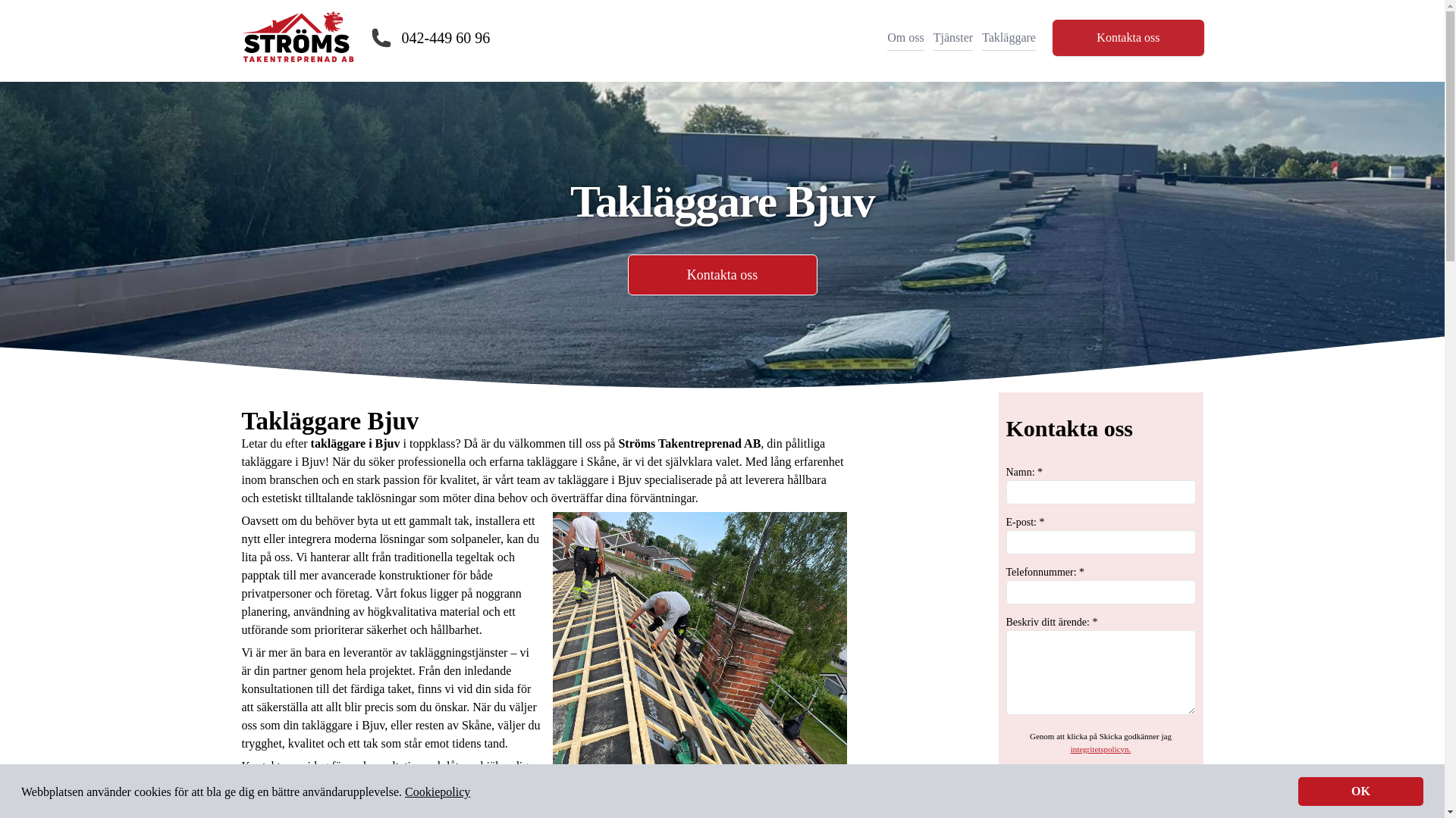 website screenshot of https://taklaggarebjuv.se/