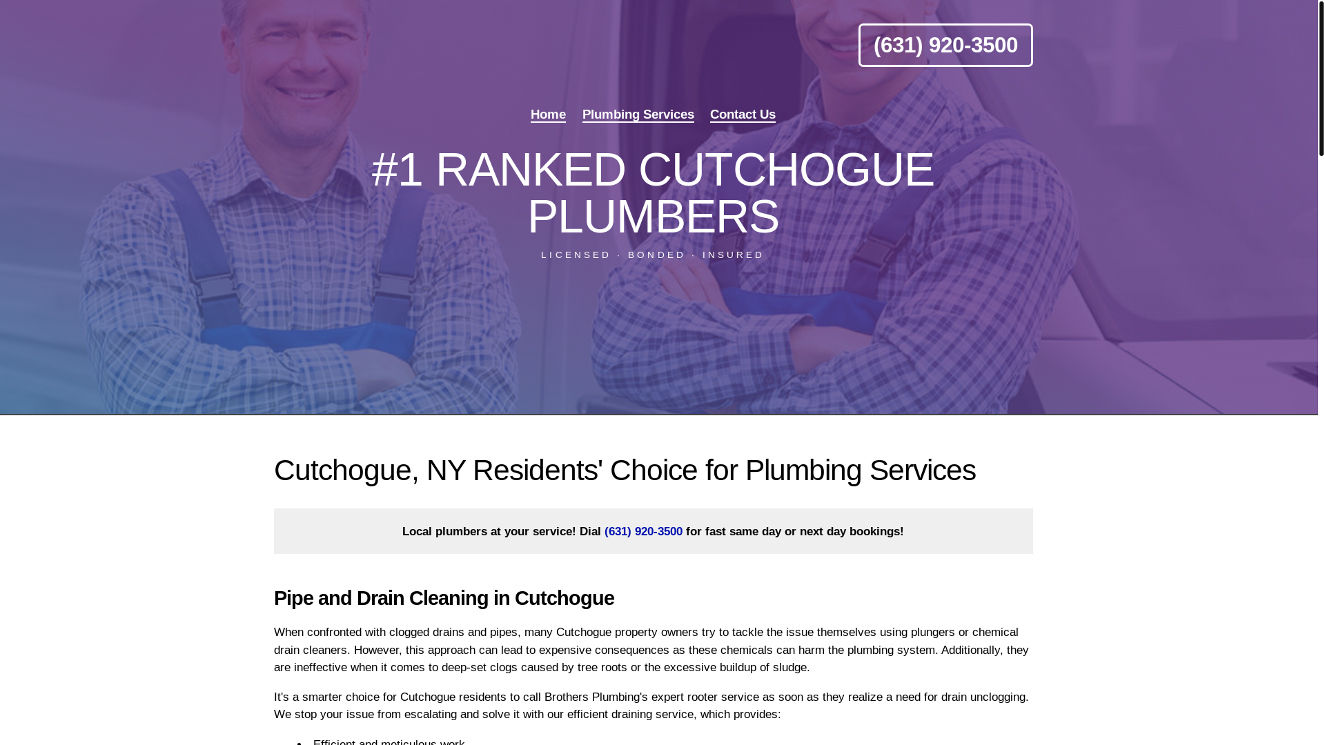 website screenshot of https://ronclarkbrothersplumbing.com/