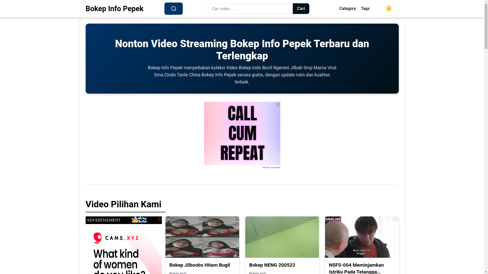 website screenshot of https://bokepinfopepek.pages.dev/