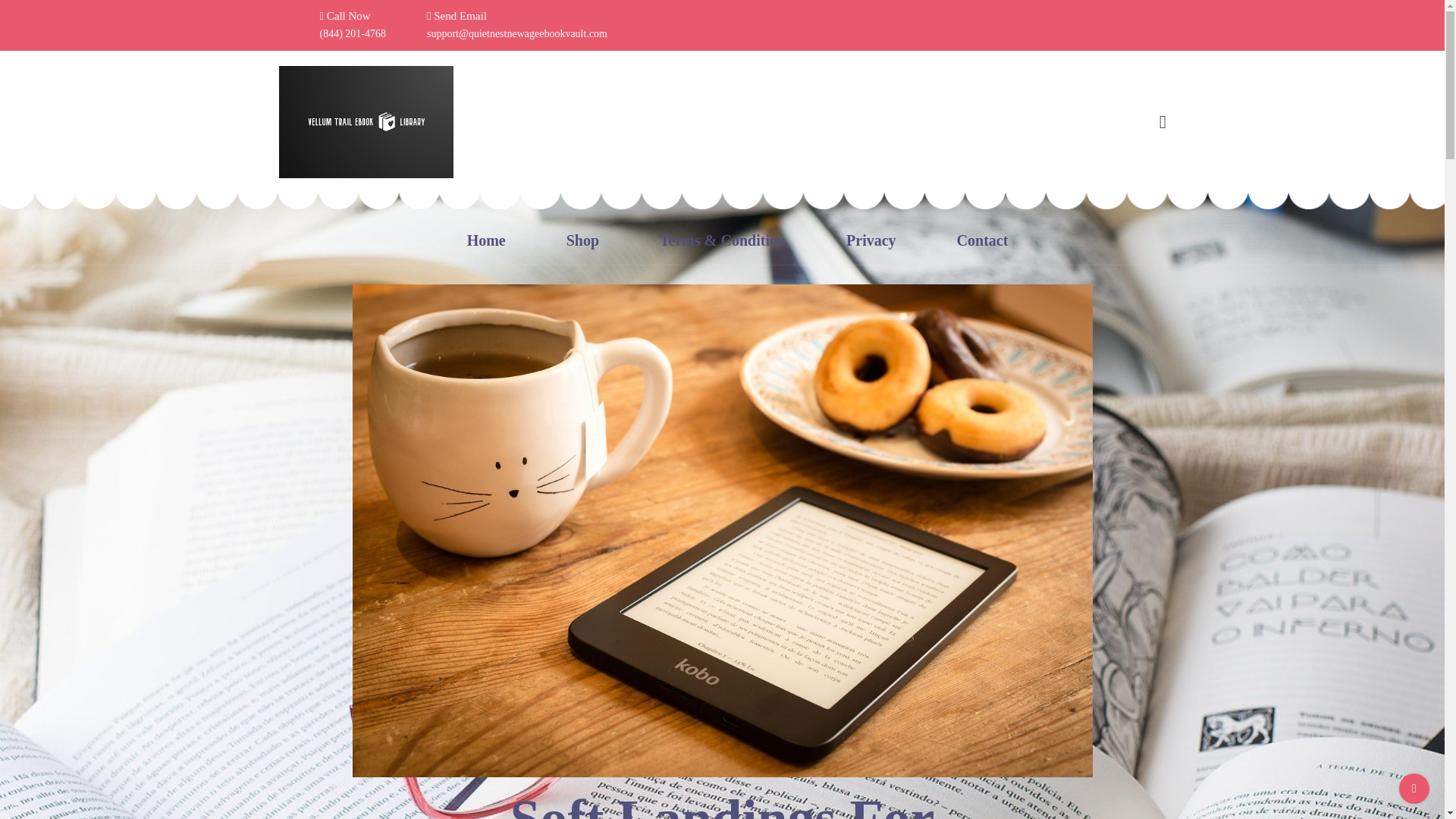 website screenshot of https://quietnestnewageebookvault.com/
