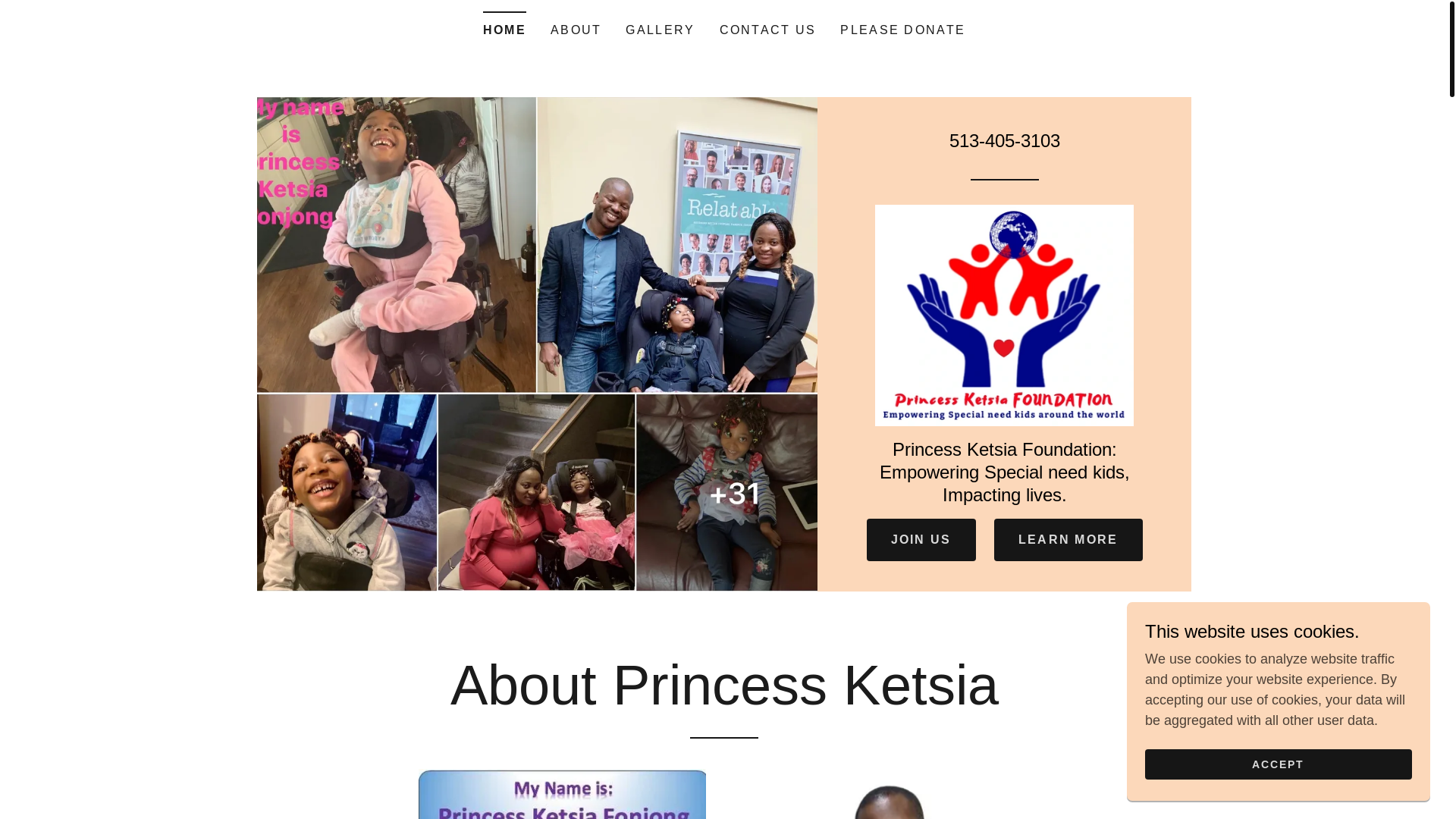 website screenshot of https://princessketsia.org/
