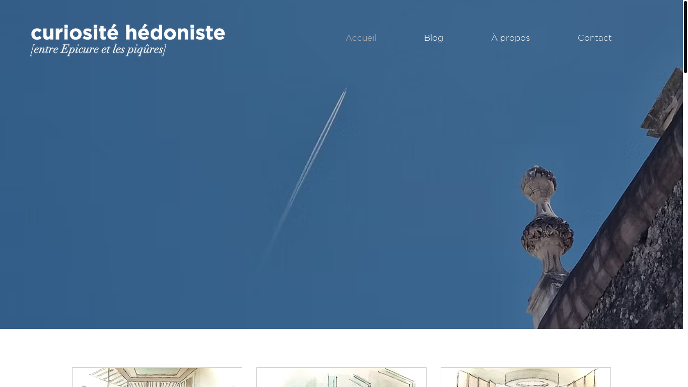 website screenshot of https://curiosite-hedoniste.com/