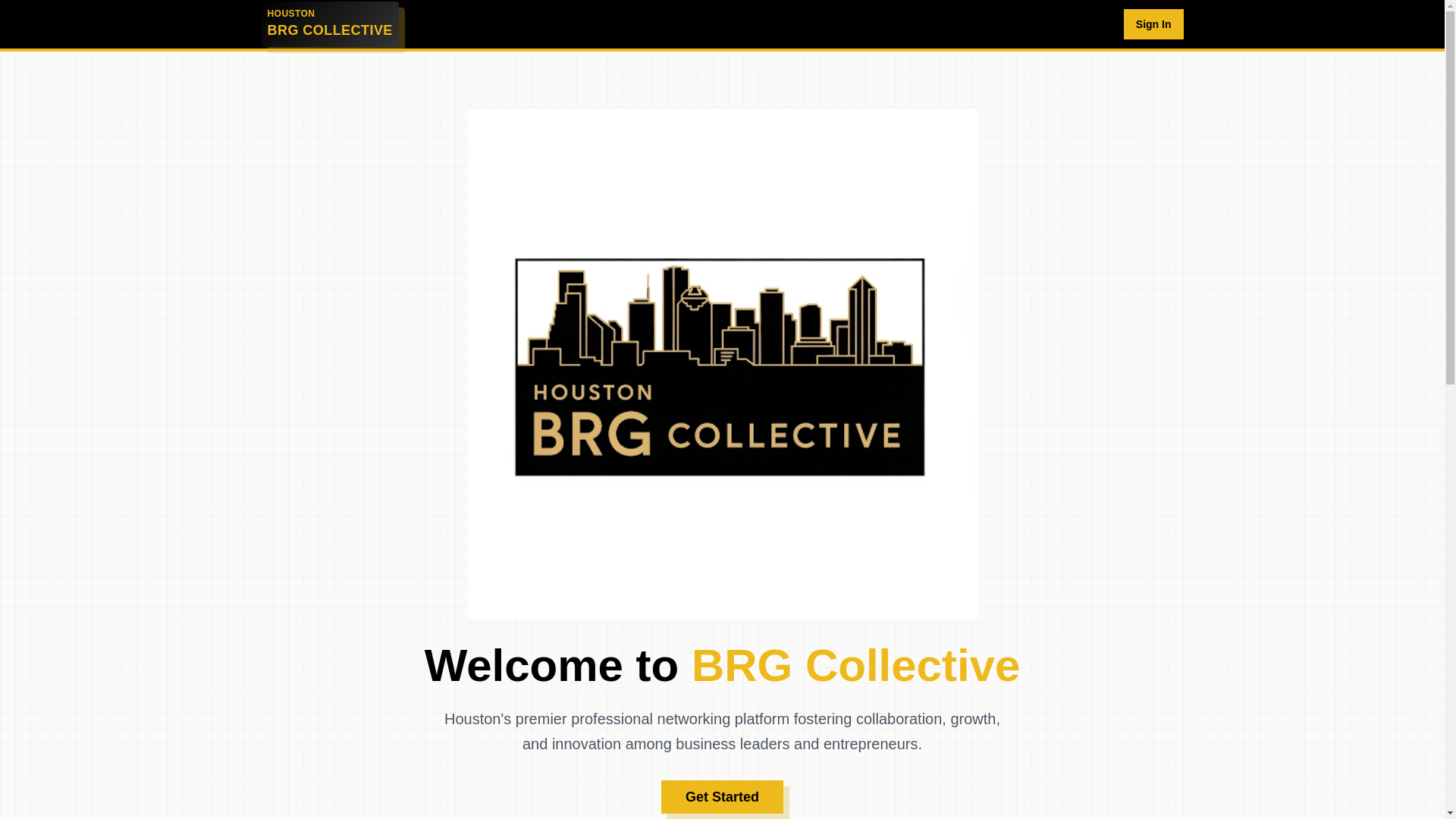 website screenshot of https://houstonbrg.org/