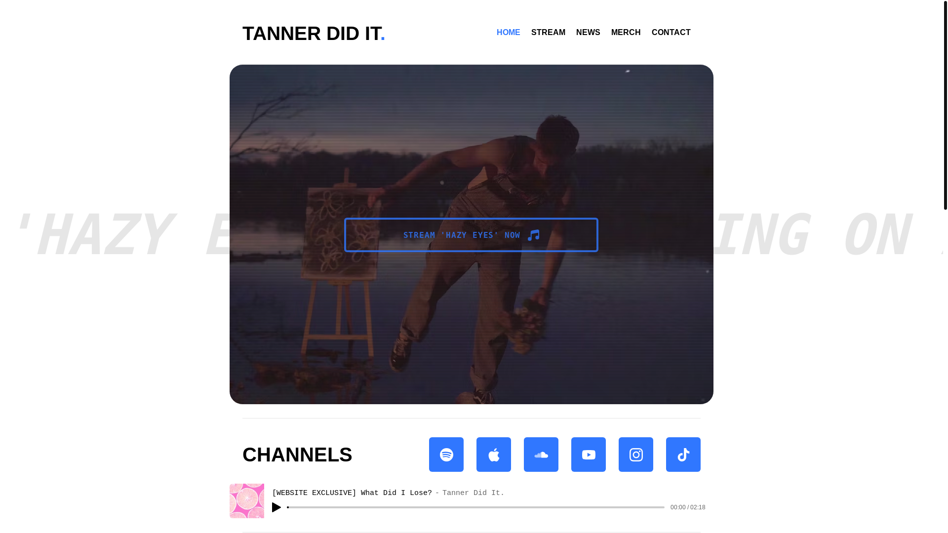 website screenshot of https://tannerdidit.com/