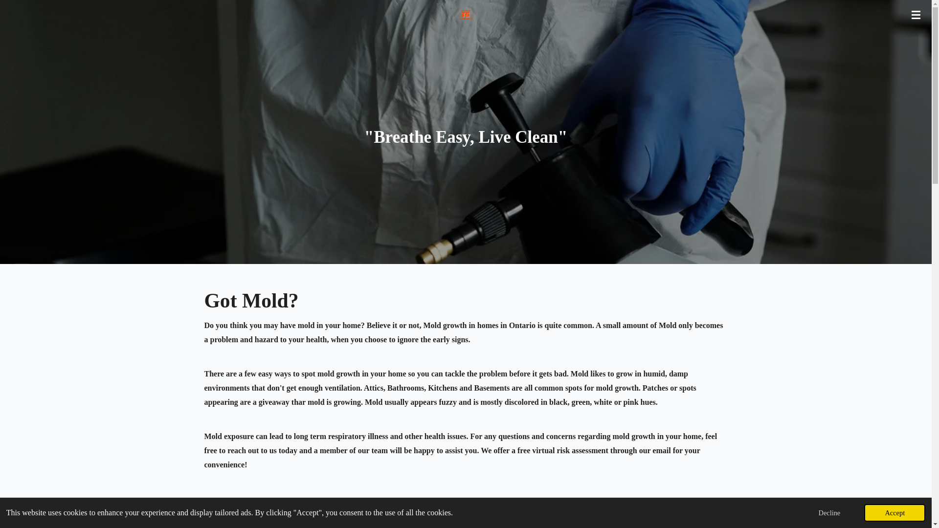 website screenshot of https://topserviceenvironmental.ca/