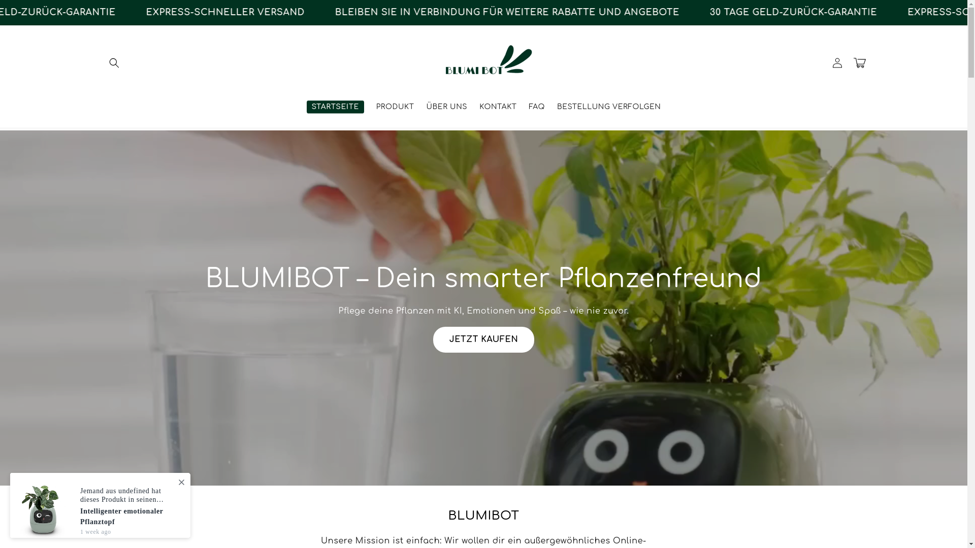 website screenshot of https://blumibot.de/