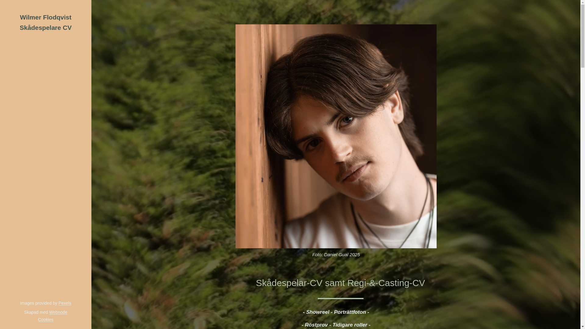 website screenshot of https://wilmerflodqvist.se/