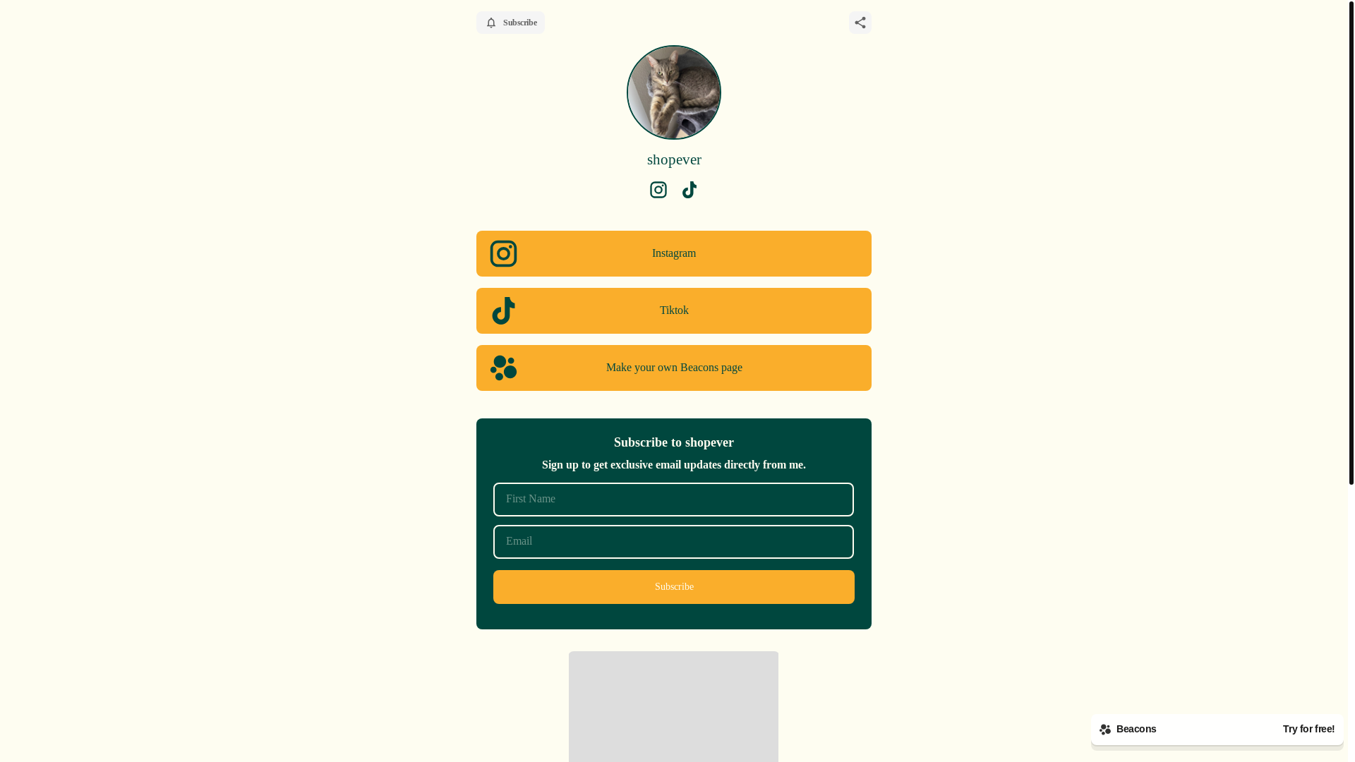website screenshot of https://shopever.org/