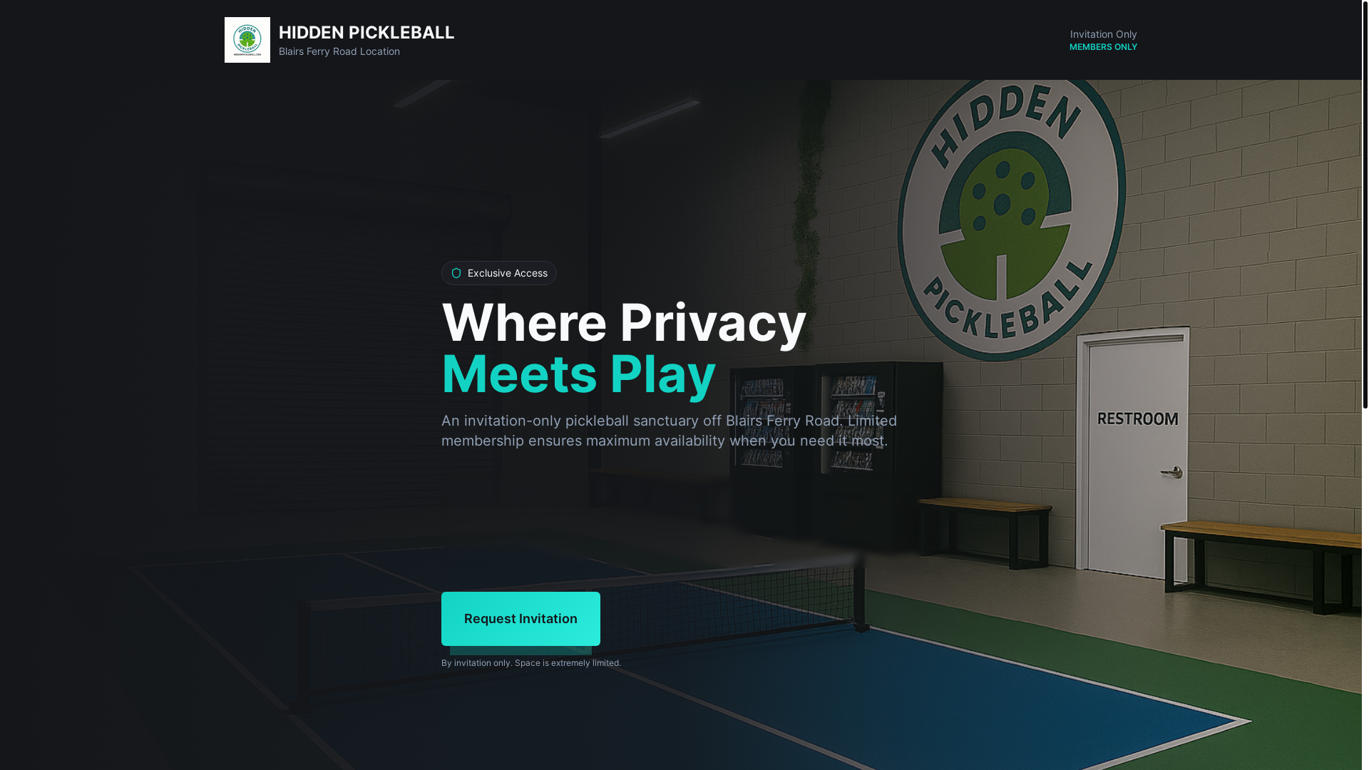 website screenshot of https://hiddenpickeball.com/