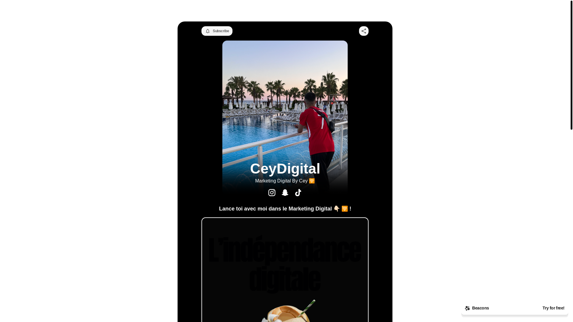 website screenshot of https://ceydigital.store/