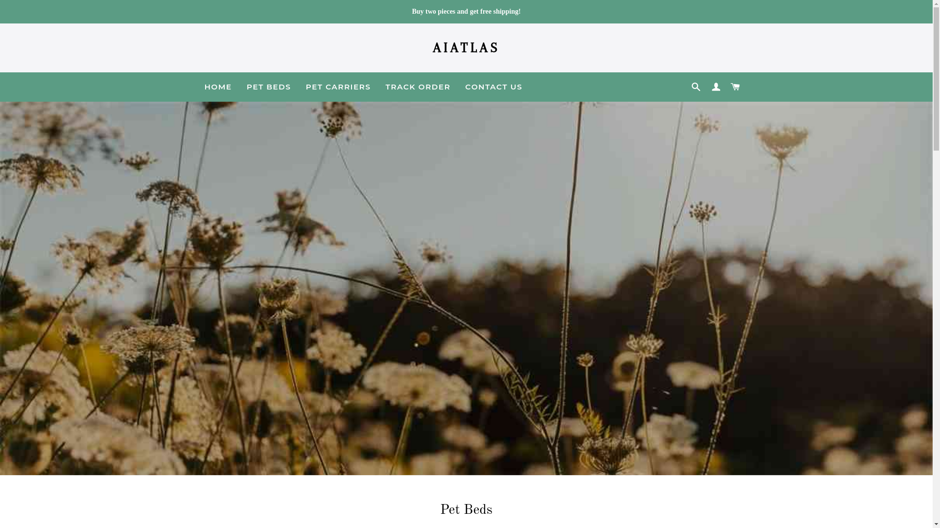 website screenshot of https://aiatlas.top/