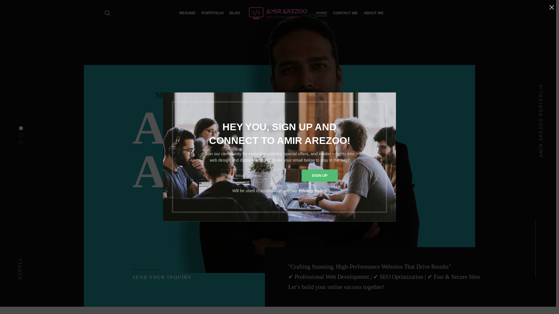 website screenshot of https://amirarezoo.blog/