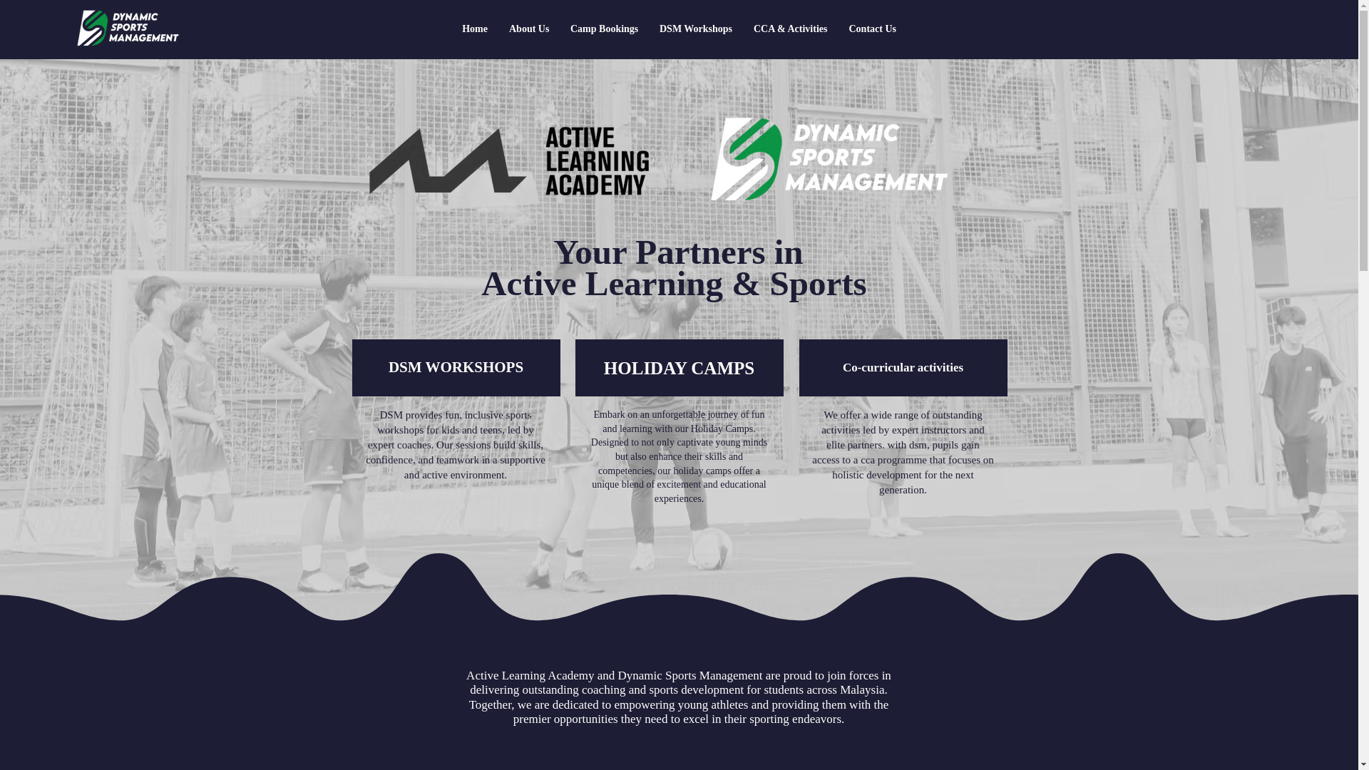 website screenshot of https://dsmactivities.com/