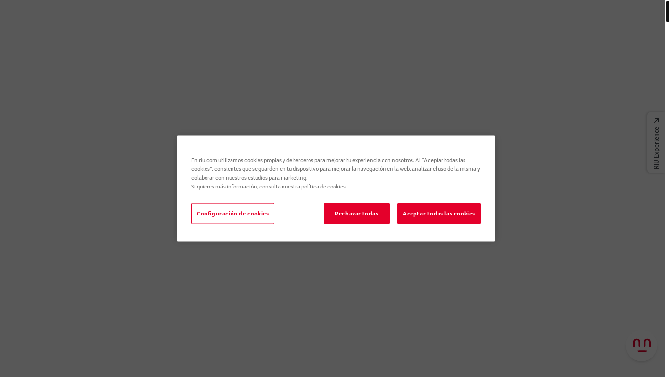 website screenshot of https://riu.com/