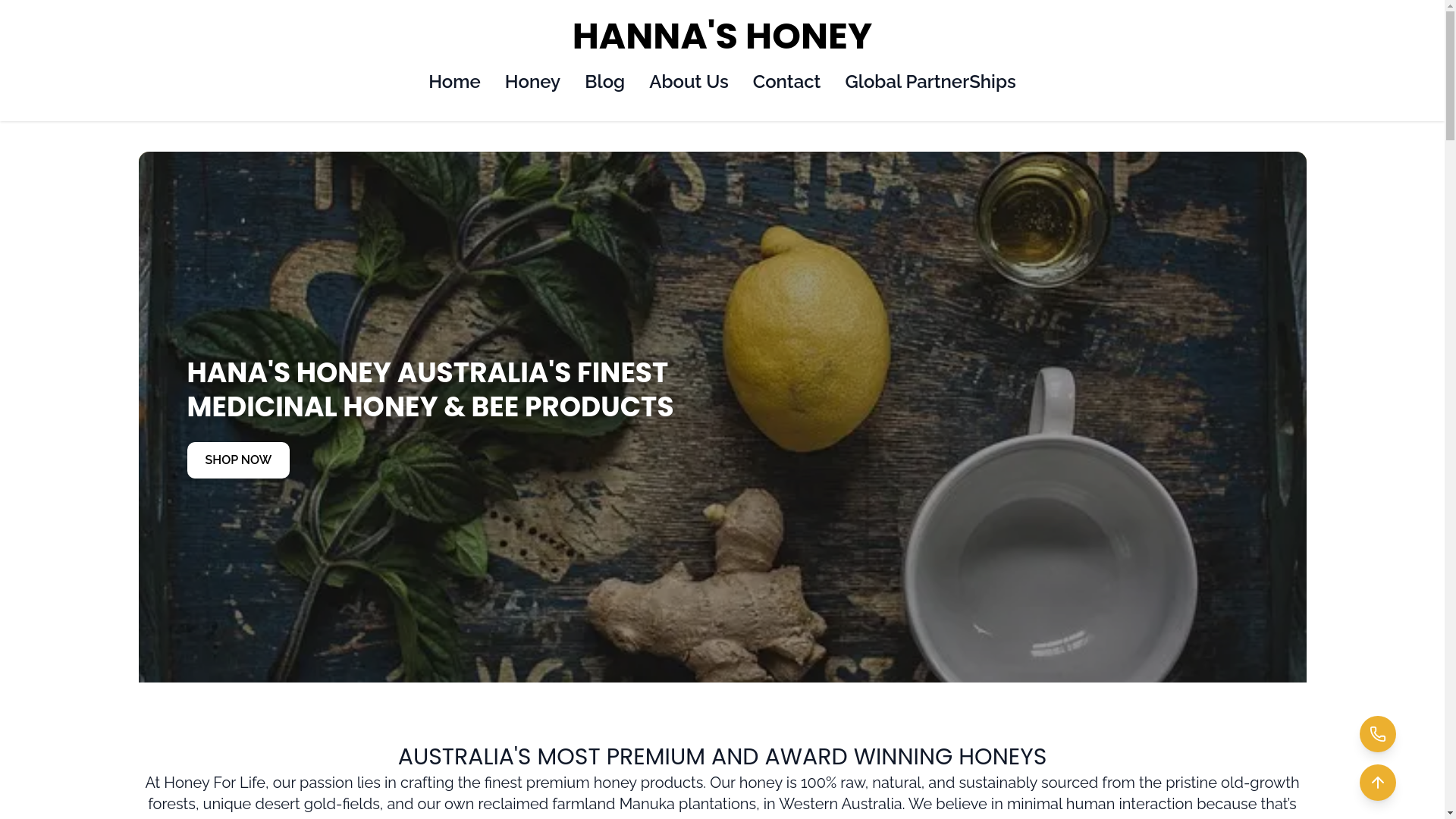 website screenshot of https://hannahoney.com.au/