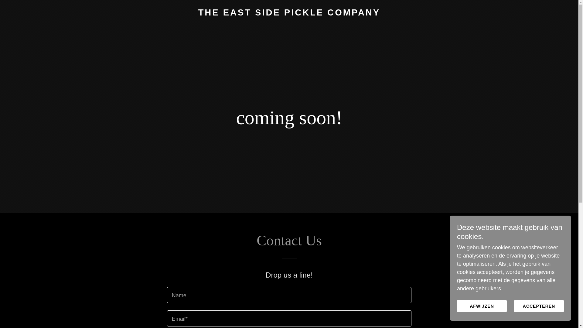 website screenshot of https://eastsidepickl.es/