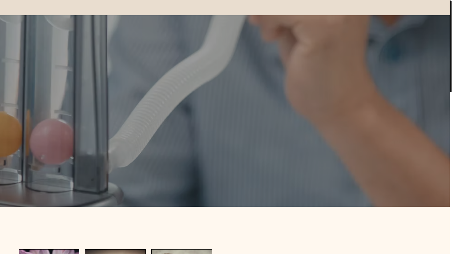 website screenshot of https://lizheitmanntherapy.com/