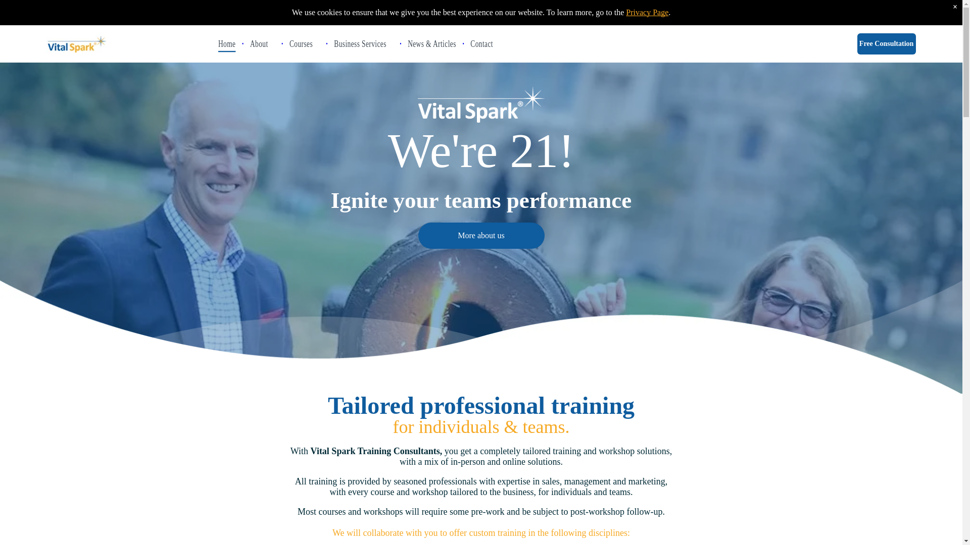 website screenshot of https://vitalsparkconsultants.co.uk/