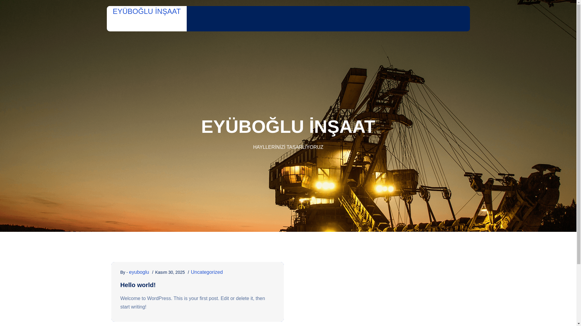 website screenshot of https://aeyubogluinsaat.com/