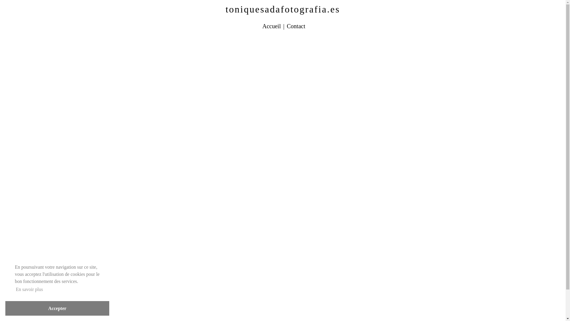 website screenshot of https://toniquesadafotografia.es/