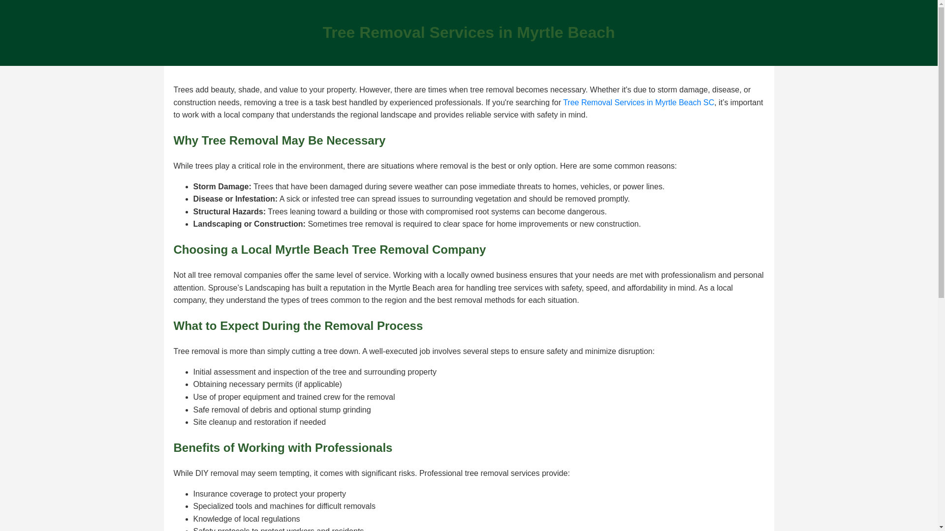 website screenshot of https://tree-removal-services-myrtle-beach.pages.dev/