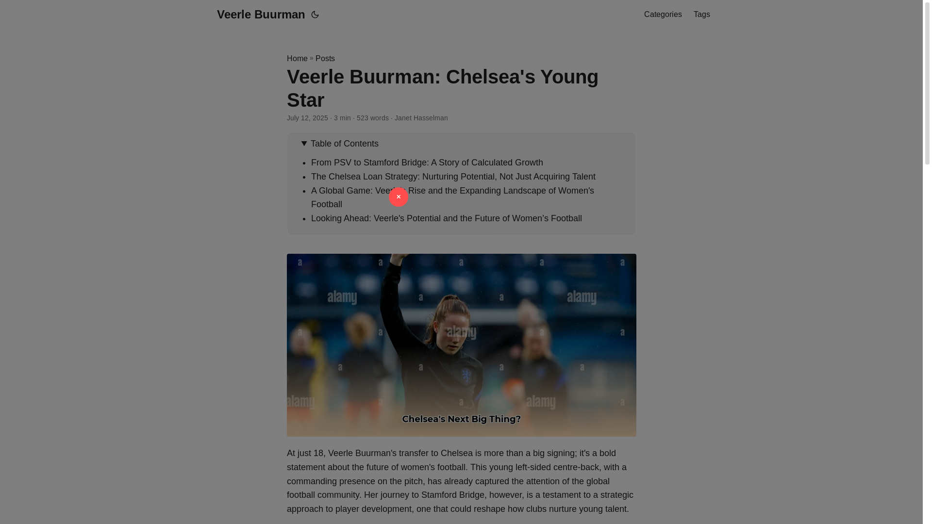 website screenshot of https://veerle-buurman.pages.dev/
