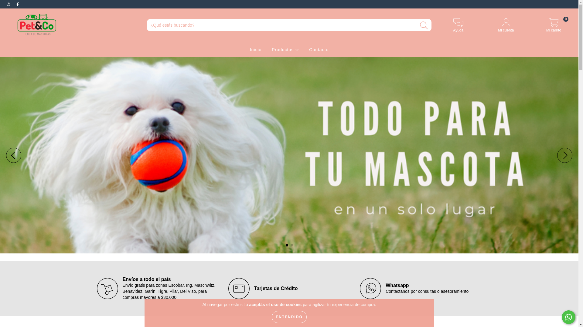 website screenshot of https://petandco.com.ar/
