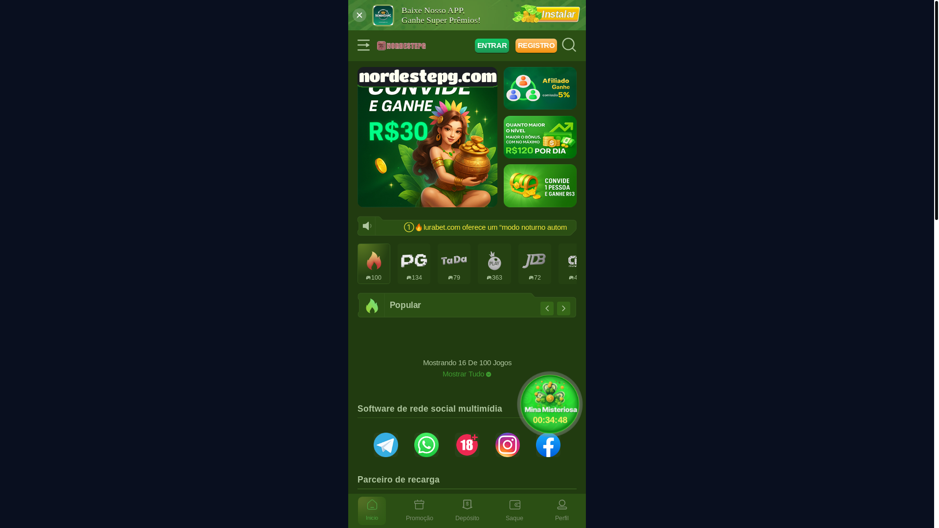 website screenshot of https://nordestepgbr.com/