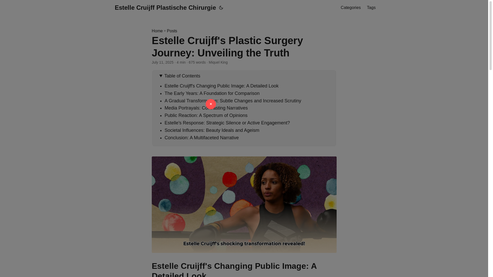 website screenshot of https://estelle-cruijff-plastische-chirurgie.pages.dev/