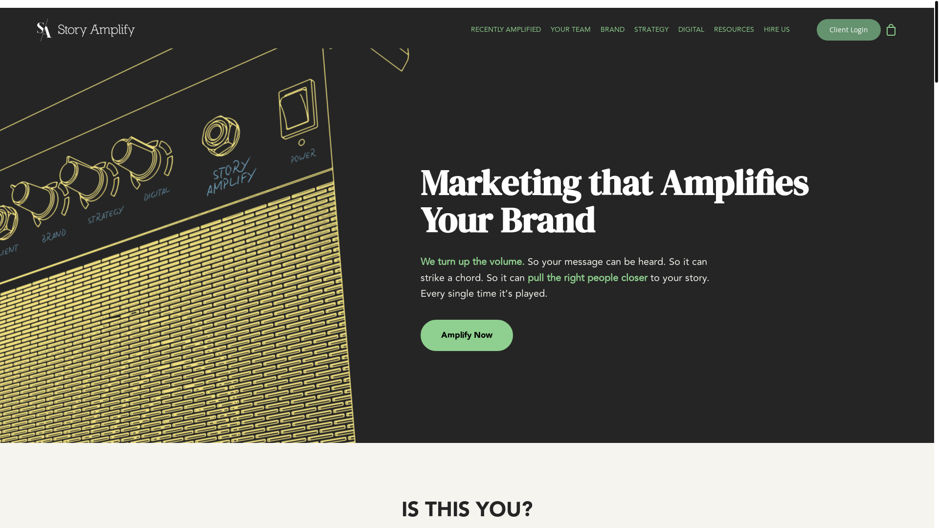 website screenshot of https://storyamplifyteam.com/