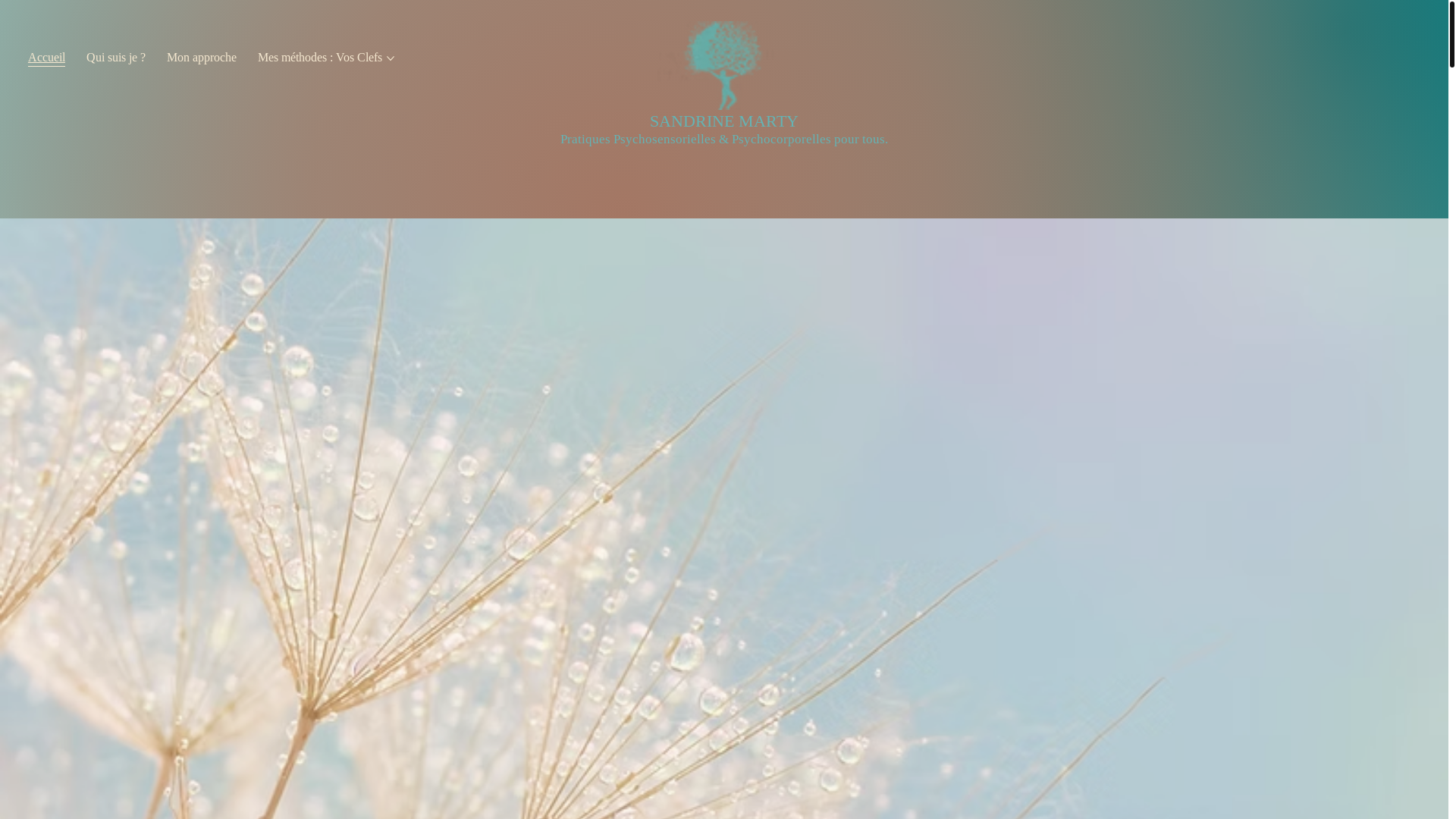 website screenshot of https://hypnose-et-therapies-breves-carcassonne.fr/
