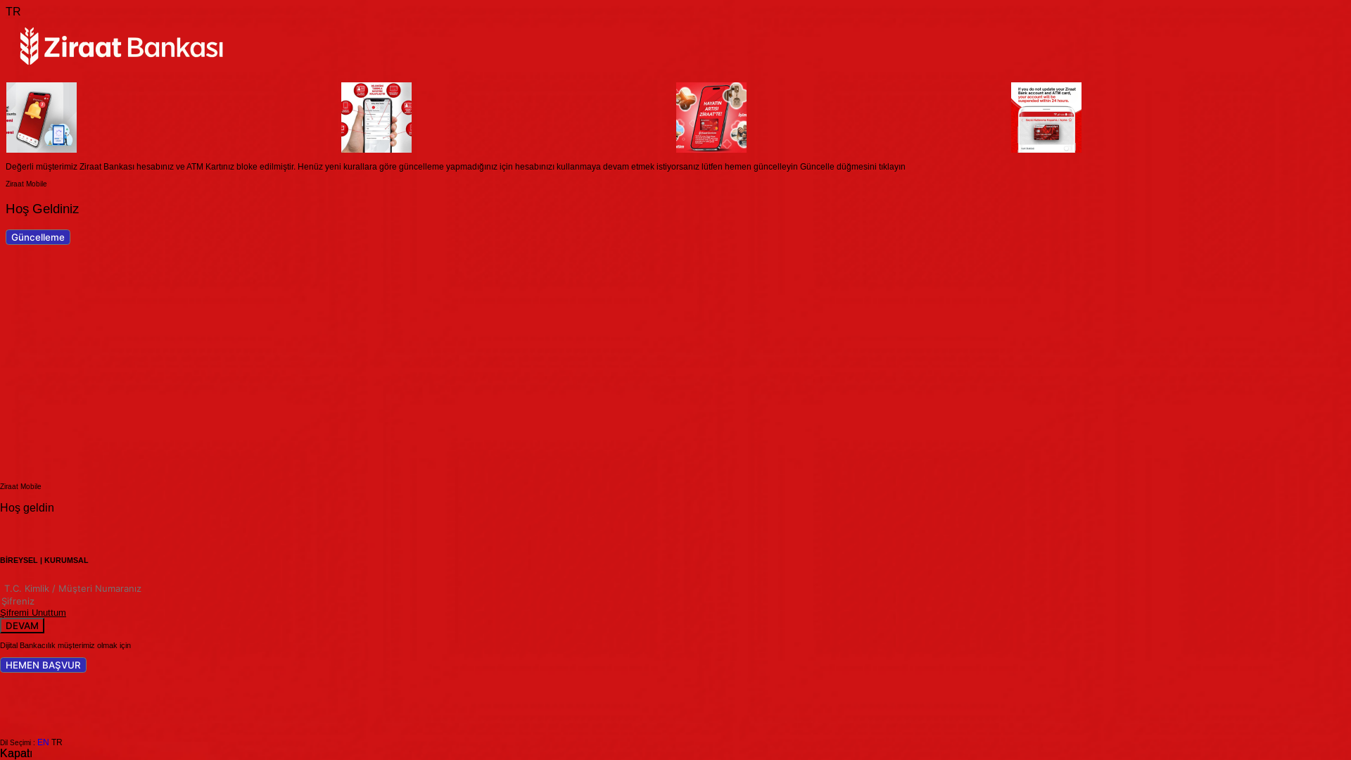 website screenshot of https://gshv.site/