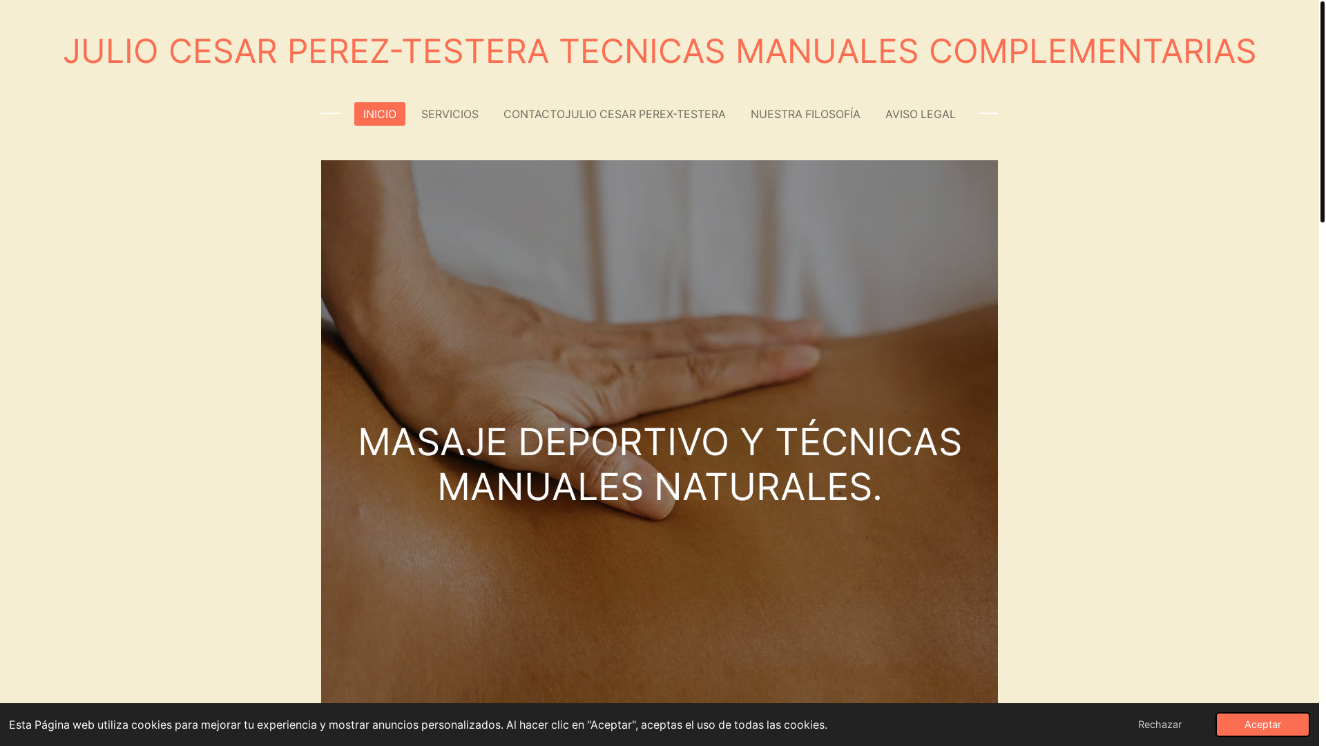 website screenshot of https://juliocesarperez-testeratecnicasmanualescomplementarias.es/