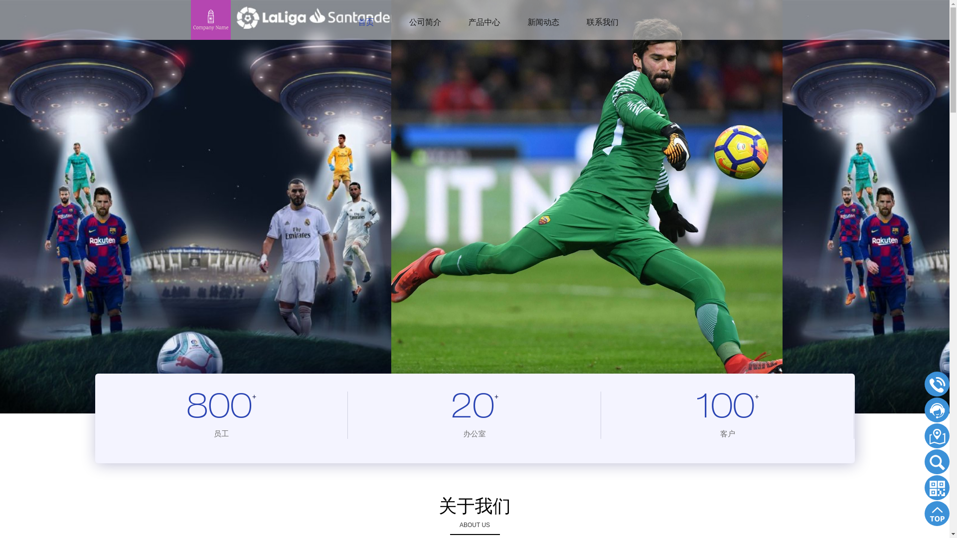 website screenshot of https://web-zh-jnsports.com/