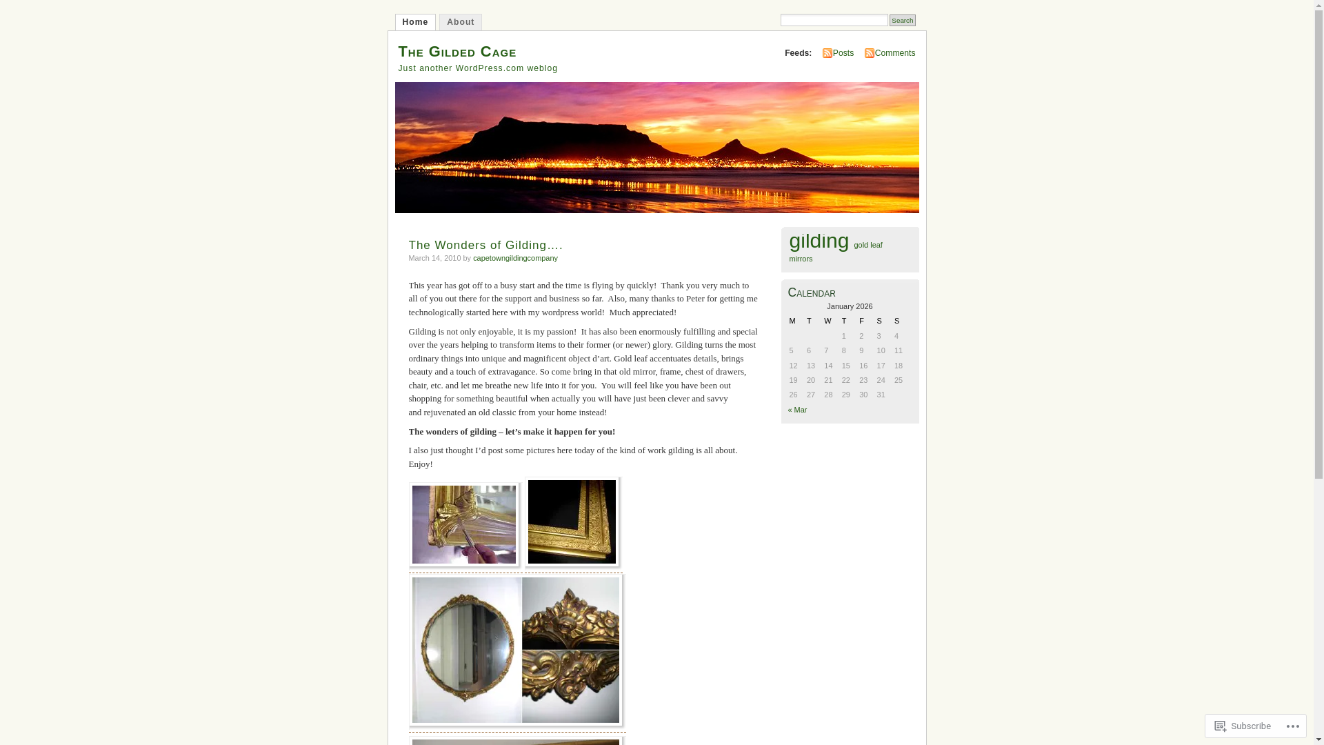 website screenshot of https://capetowngilding.company/