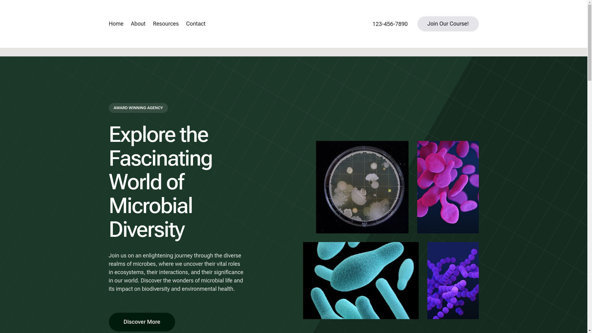 website screenshot of https://therealmofmicrobes.com/