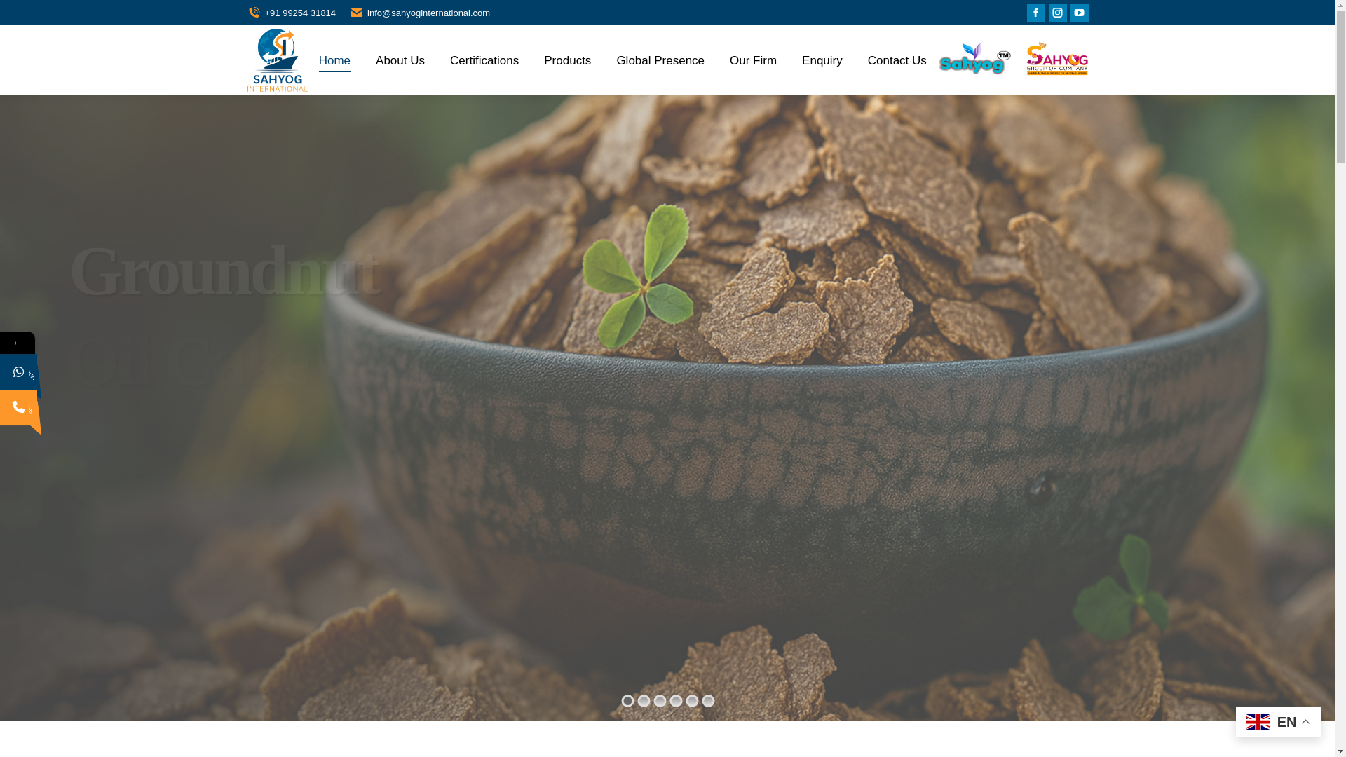 website screenshot of https://sahyoginternationals.com/