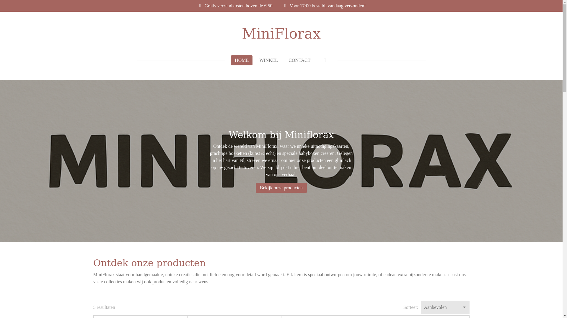 website screenshot of https://miniflorax.nl/