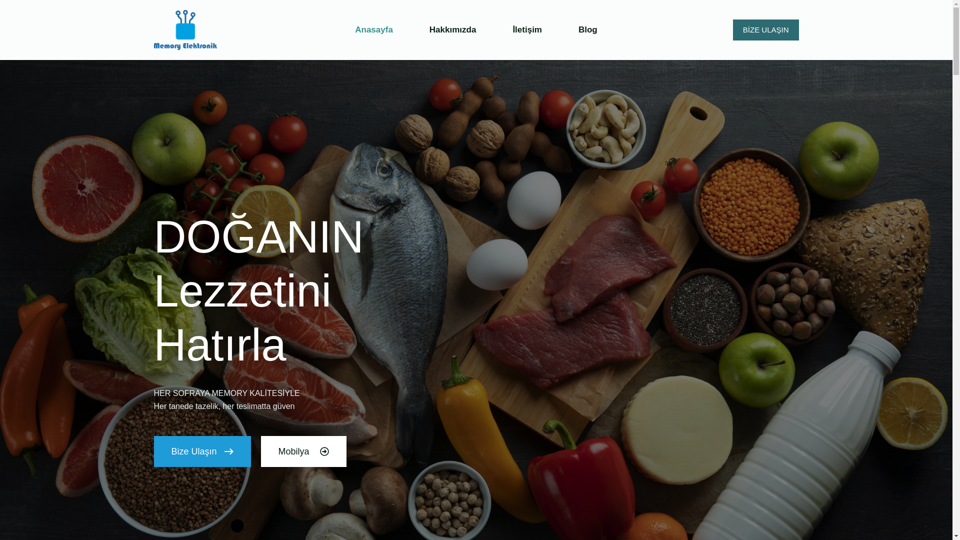 website screenshot of https://memoryelektronik.com/