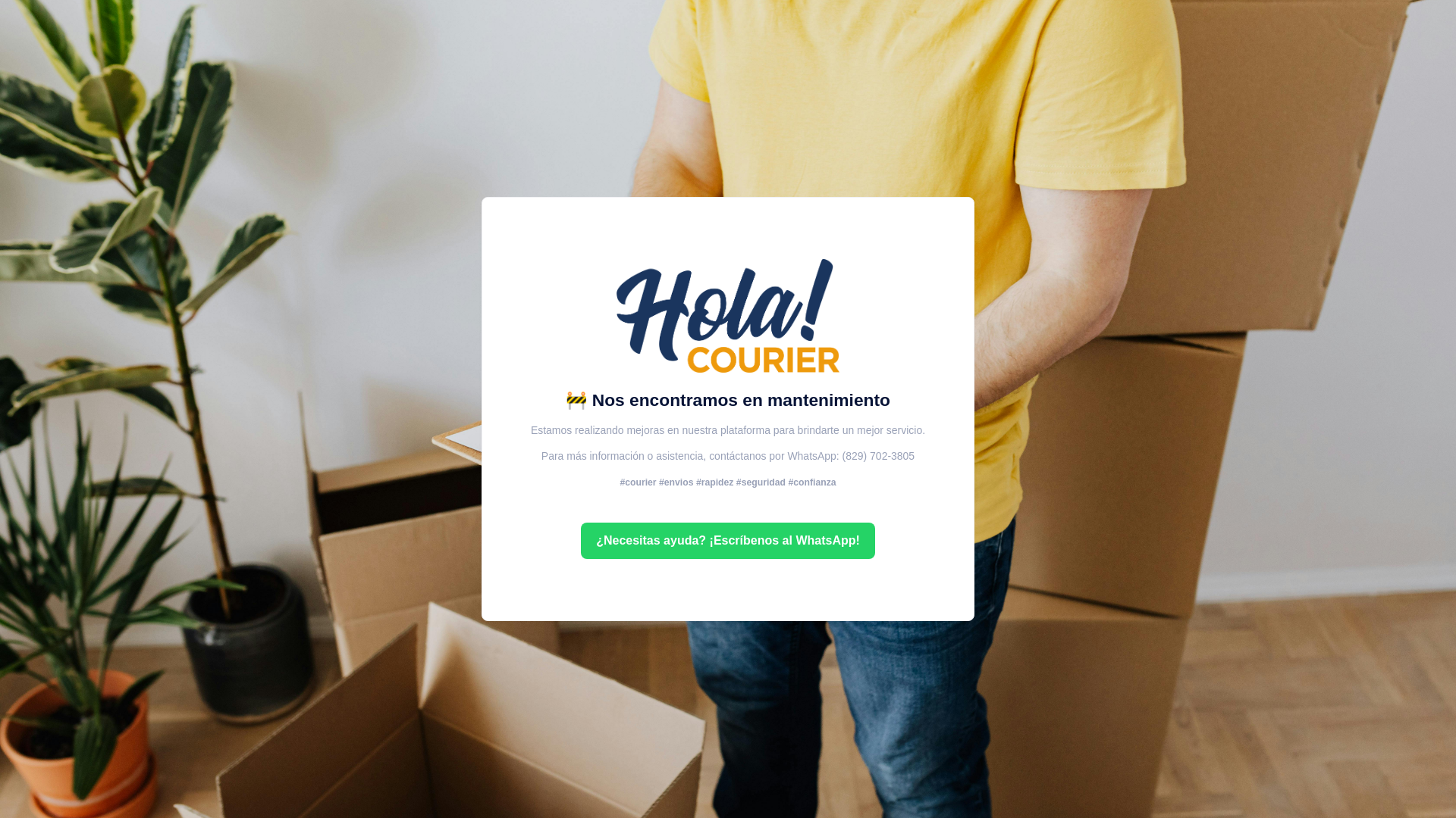 website screenshot of https://holaexpress.do/