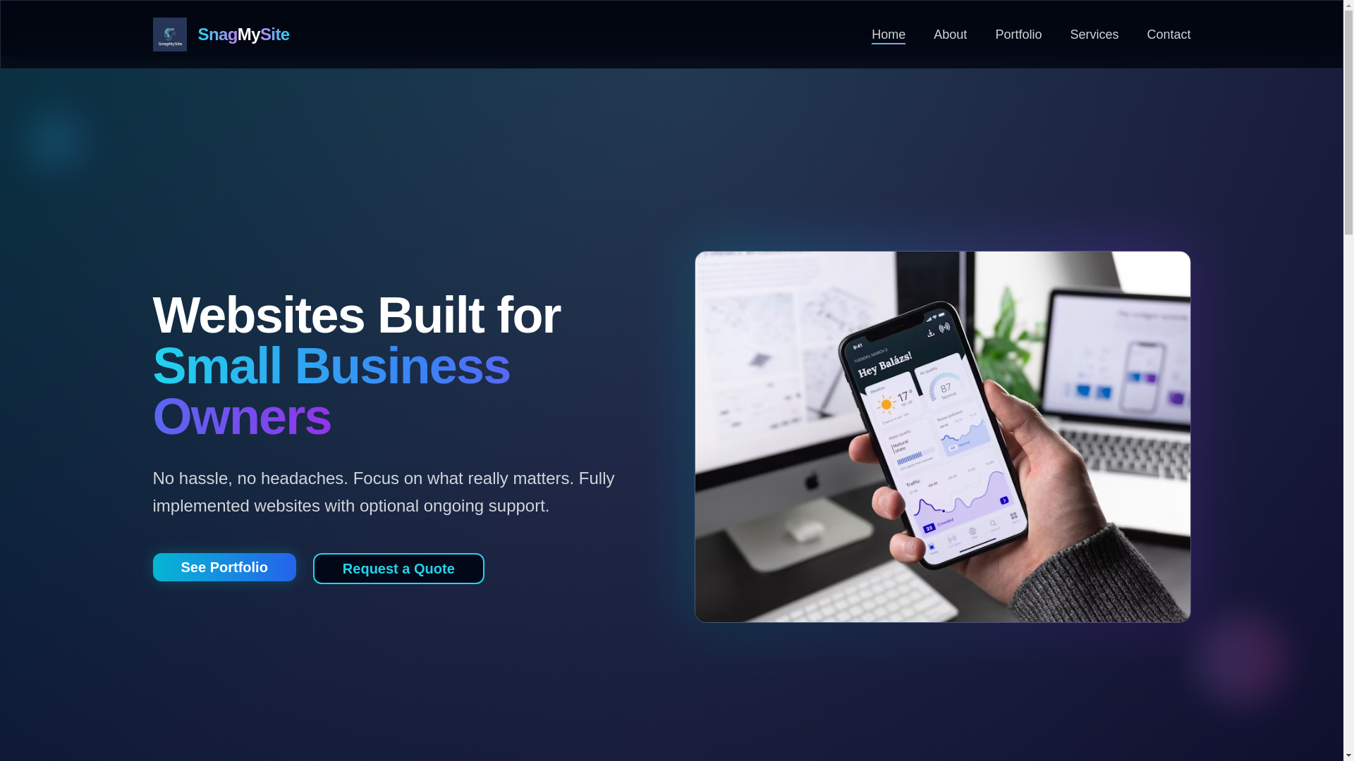 website screenshot of https://snagmysite.com/