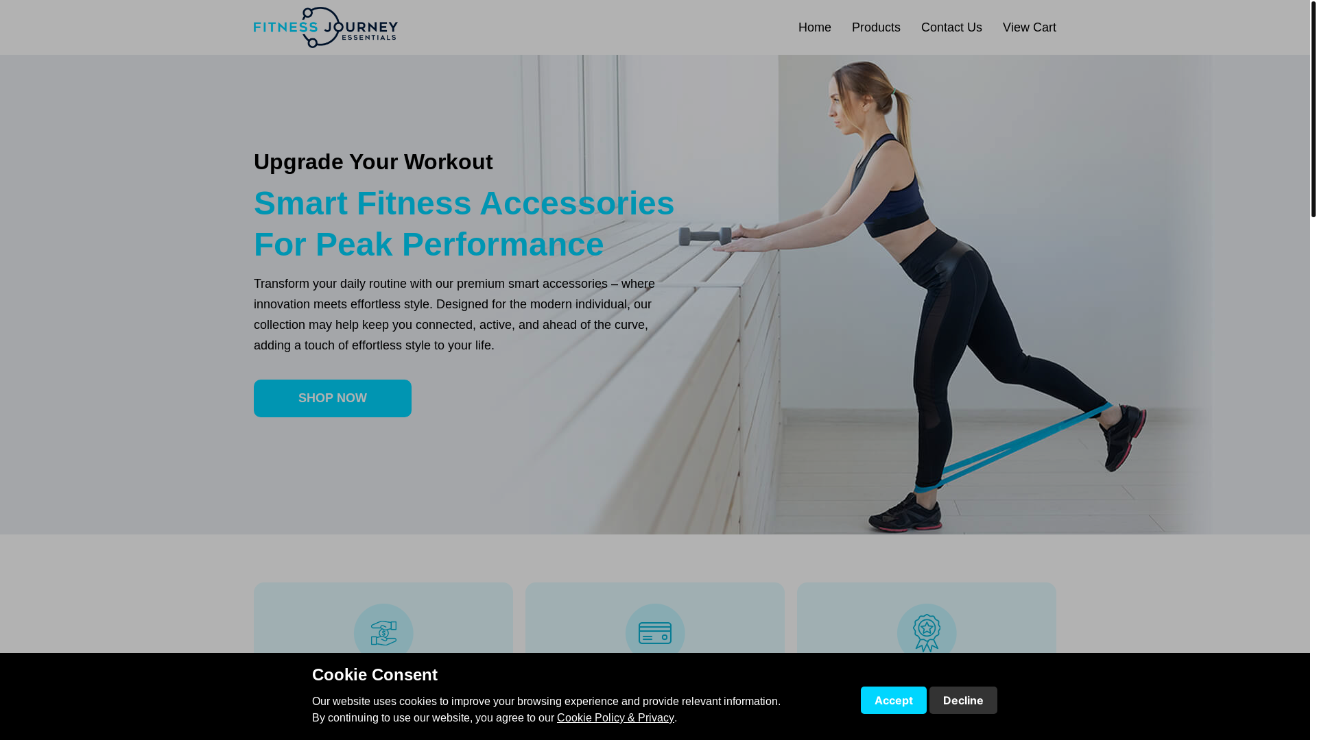 website screenshot of https://fitnessjourneyessentials.com/