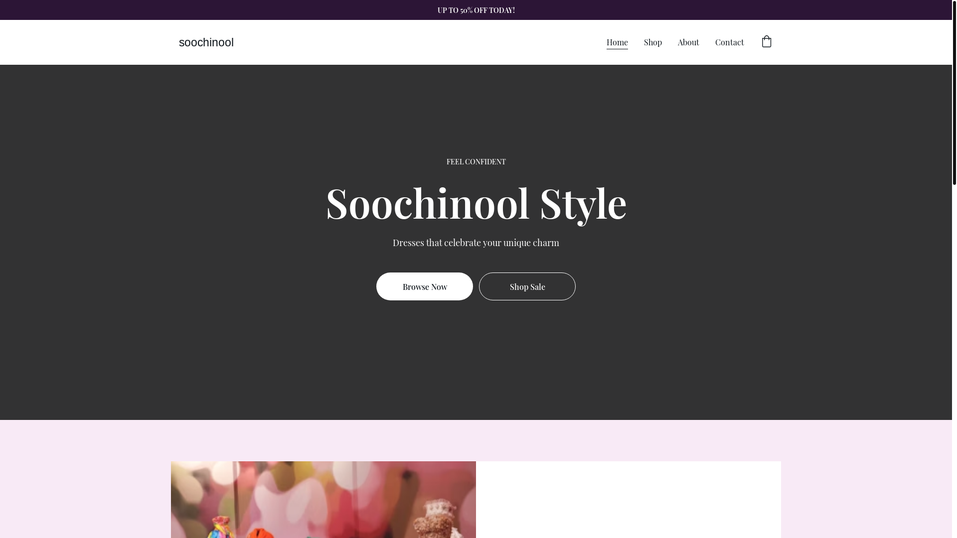 website screenshot of https://soochinool.com/