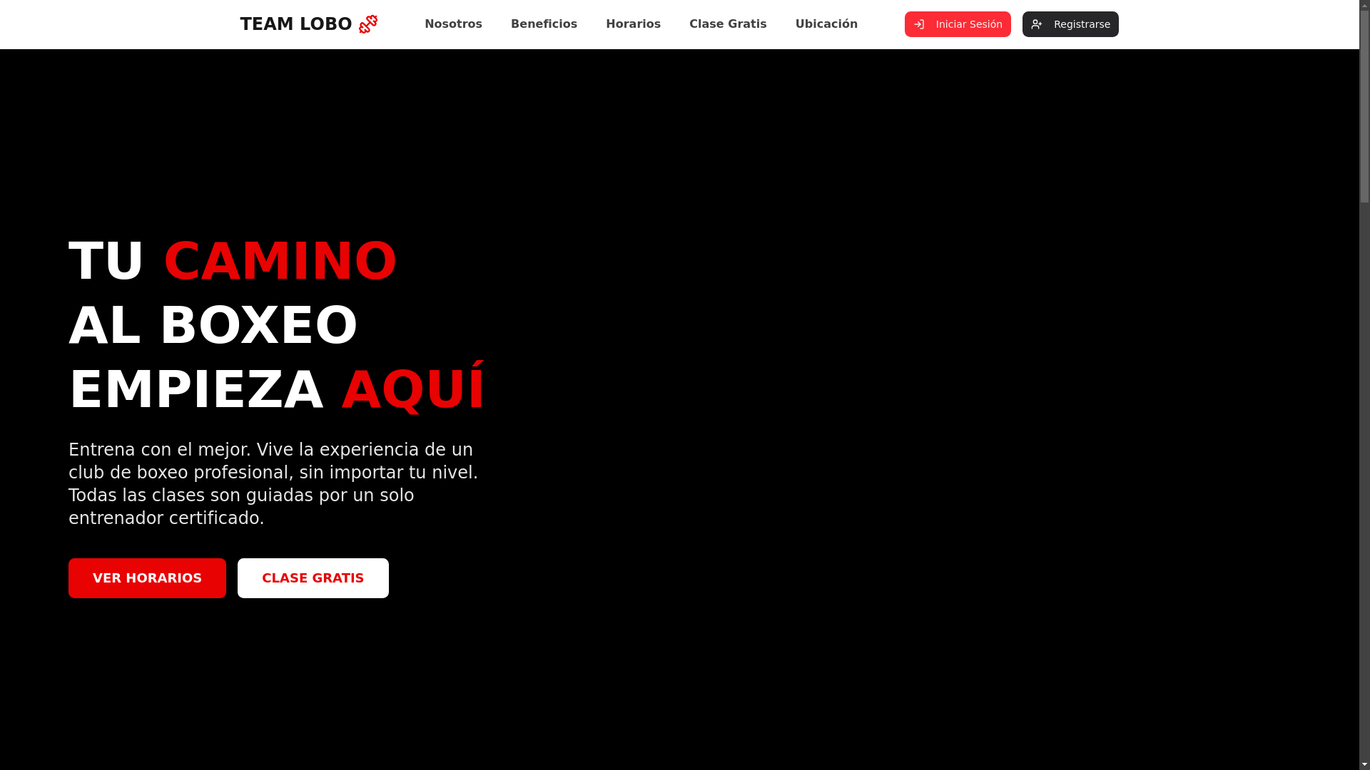 website screenshot of https://teamlobo.cl/
